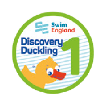 Discovery Duckling 1